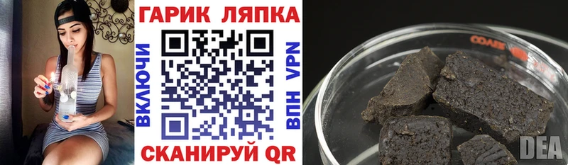 Купить где  Дубовка  ГАШ Ice-O-Lator 