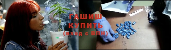 прущие грибы Кодинск