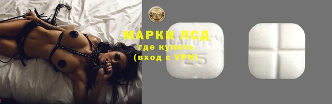 твердый Козельск