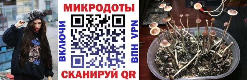 Галлюциногенные грибы Magic Shrooms  Купить где  Дубовка 