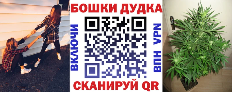 Купить где  Дубовка  Шишки марихуана сатива 